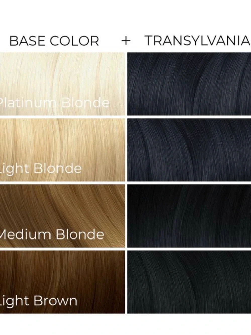 Arctic Fox Semi-Permanent Hair Color — Transylvania (Black) 8 fl oz